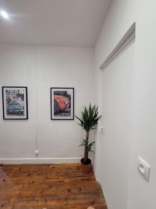 Appartement De Charme Avec Tomettes Et Parquet Graulhet Exterior foto